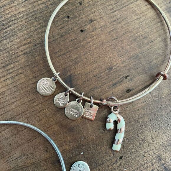 2 Alex and Ani United States NAVY Charm Bangle Bracelet Rafaelian Gold Silver - Picture 4 of 8